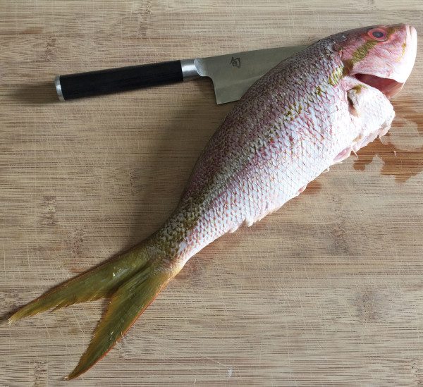 red snapper recipe